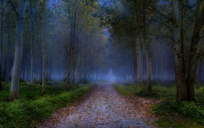 Обои картинки фото природа, дороги, тракт