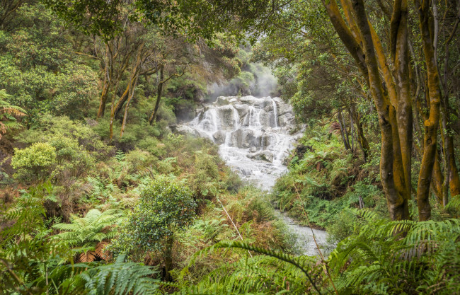 Обои картинки фото природа, водопады, водопад, река, лес