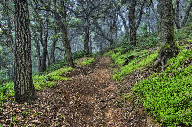 Обои картинки фото природа, дороги, тракт