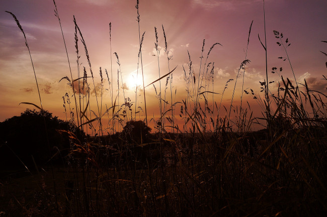 Обои картинки фото природа, восходы, закаты, рассвет