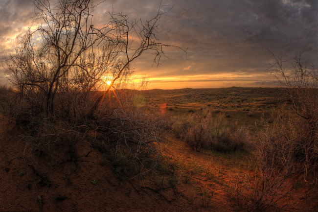 Обои картинки фото природа, восходы, закаты, рассвет