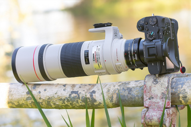 Обои картинки фото бренды, sony, фотокамера