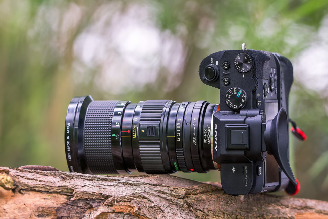 Обои картинки фото бренды, sony, фотокамера