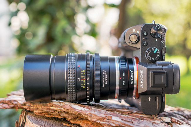 Обои картинки фото бренды, sony, фотокамера