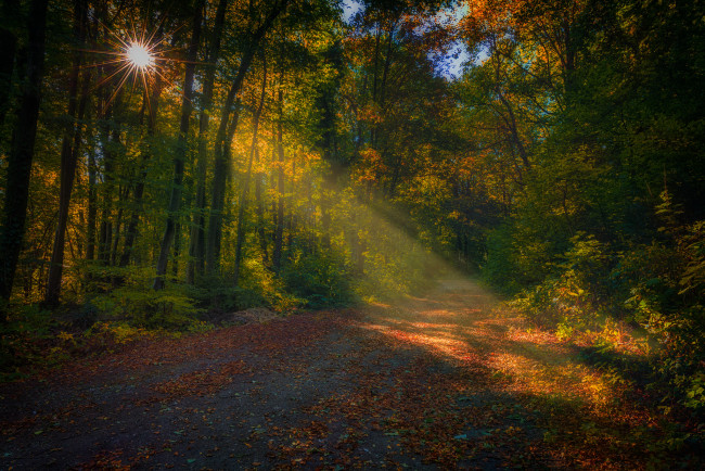 Обои картинки фото природа, дороги, тракт