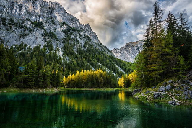 Обои картинки фото природа, реки, озера, лес, река