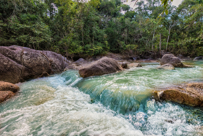 Обои картинки фото природа, реки, озера, лес, река
