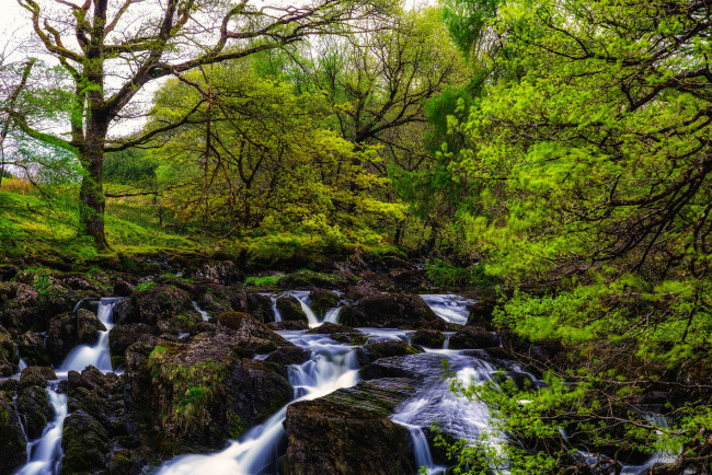 Обои картинки фото природа, реки, озера, лес, река