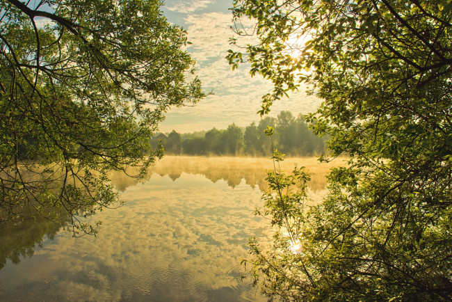 Обои картинки фото природа, реки, озера, лес, река