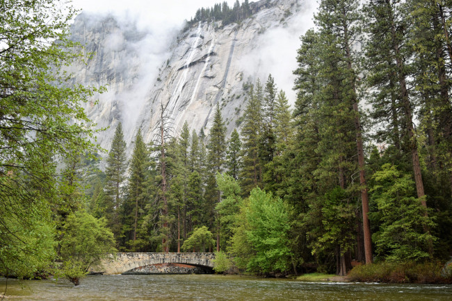 Обои картинки фото природа, реки, озера, лес, река