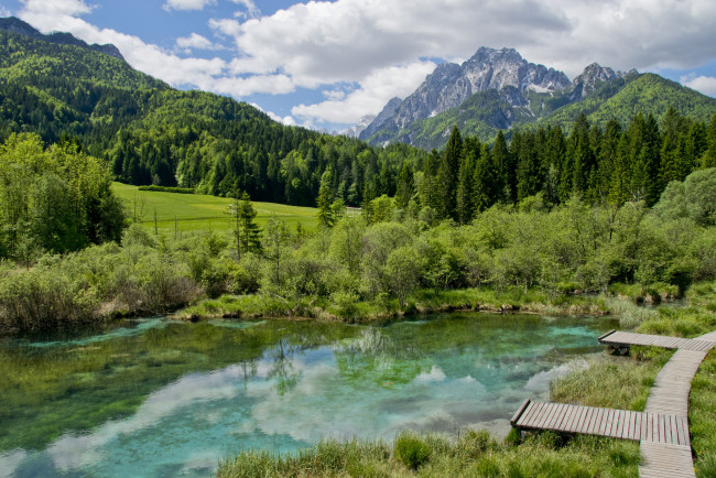 Обои картинки фото природа, реки, озера, лес, река