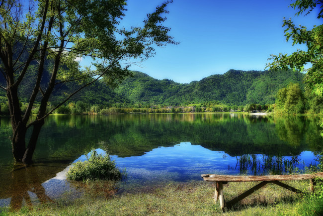 Обои картинки фото природа, реки, озера, лес, река