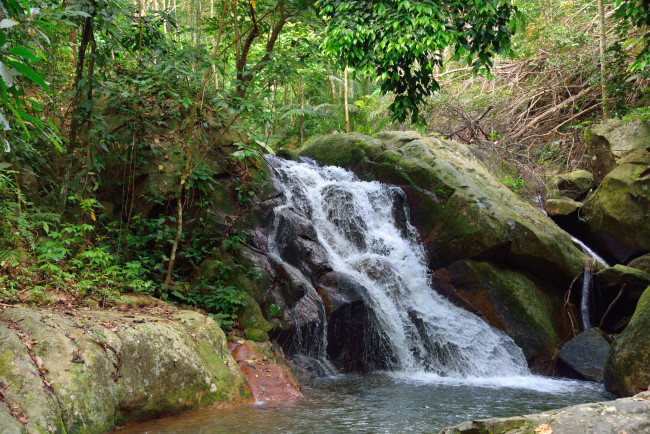Обои картинки фото природа, водопады, река, водопад, лес