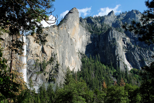 Обои картинки фото природа, водопады, водопад, лес, река