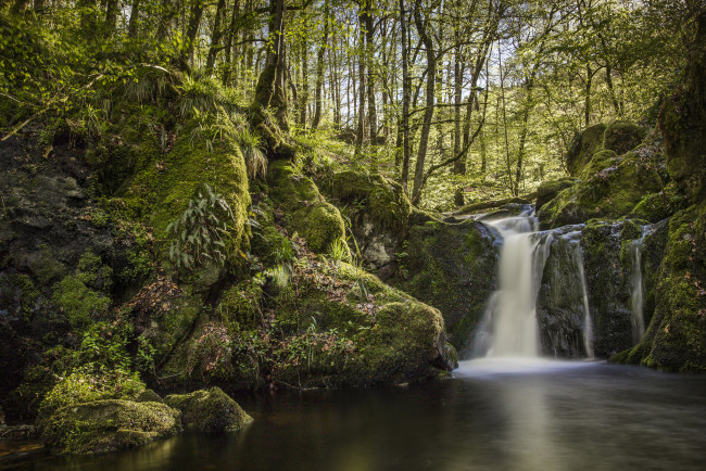 Обои картинки фото природа, водопады, водопад, река, лес