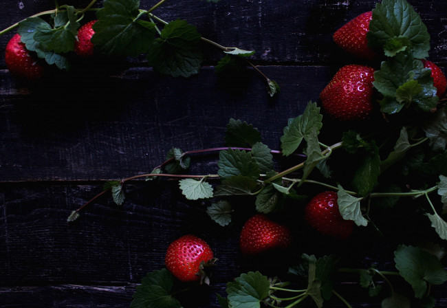 Обои картинки фото еда, клубника,  земляника, красный, ягоды
