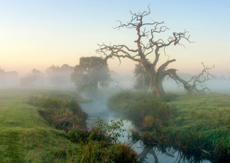 Картинка природа реки озера простор