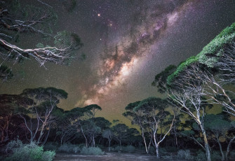 Картинка природа тропики простор