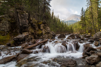 Картинка природа реки озера простор