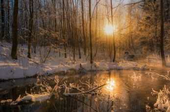 Картинка природа реки озера простор