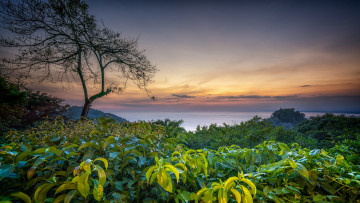 Картинка природа пейзажи простор