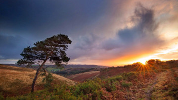 Картинка природа восходы закаты простор