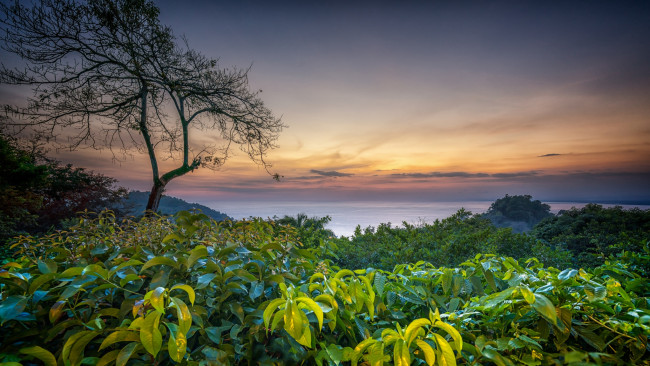 Обои картинки фото природа, пейзажи, простор