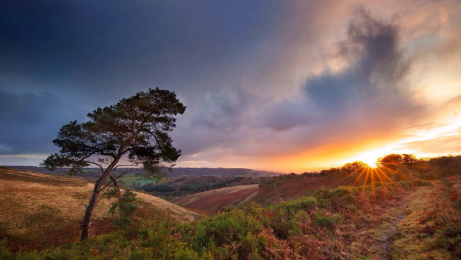 Обои картинки фото природа, восходы, закаты, простор