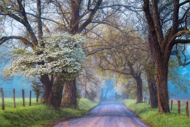 Обои картинки фото природа, дороги, простор