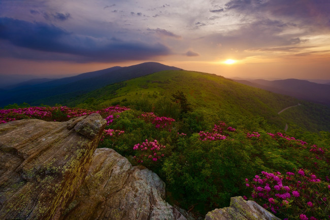 Обои картинки фото природа, луга, простор