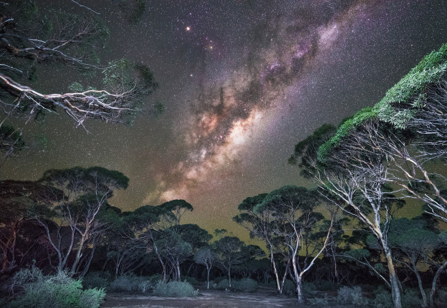 Обои картинки фото природа, тропики, простор