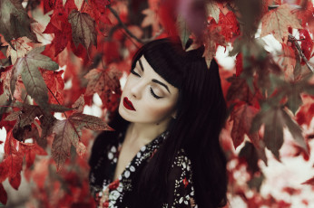 Картинка красотка девушки -+брюнетки +шатенки девушка красивая супер секси няша нежная классная модница лапочка мадам