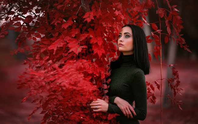 Обои картинки фото красотка, девушки, - брюнетки,  шатенки, девушка, красивая, супер, секси, няша, нежная, классная, модница, лапочка, мадам, настя