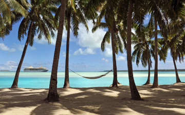 Картинка природа тропики море пляж пальмы