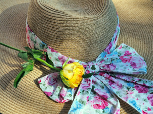 Картинка разное одежда +обувь +текстиль +экипировка шляпа роза