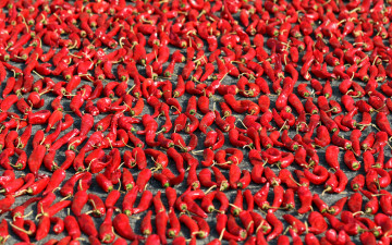 обоя еда, перец, стручки, красный, острый, жгучий