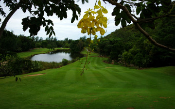 Картинка природа реки озера озеро лужайка деревья