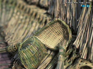 обоя разное