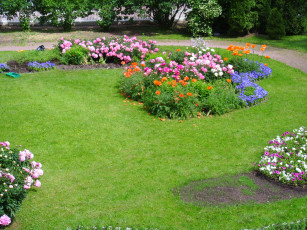 Картинка цветы разные вместе