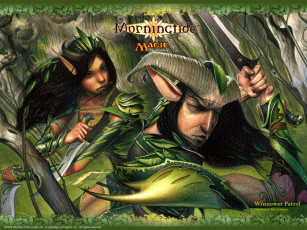 Картинка видео игры magic world online