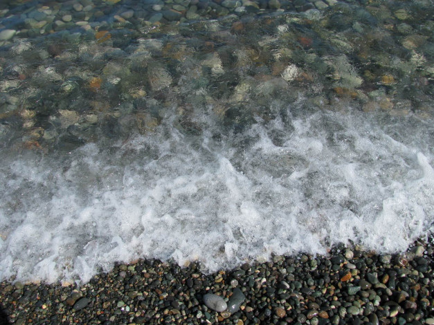 Обои картинки фото 