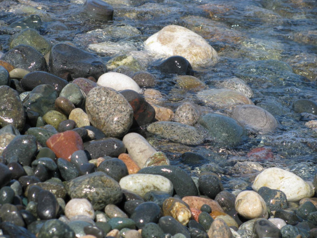 Обои картинки фото 