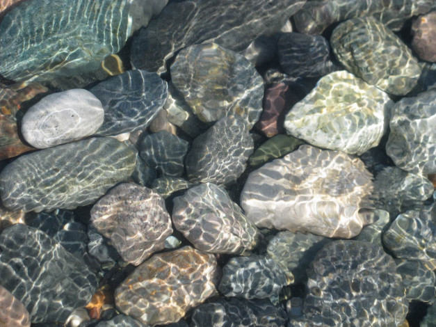 Обои картинки фото 