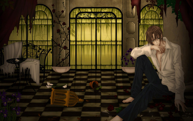 Обои картинки фото аниме, uragiri, wa, boku, no, namae, wo, shitteiru, ирисы, клетка, парень