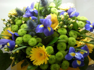 Картинка цветы букеты композиции ирисы букет хризантемы