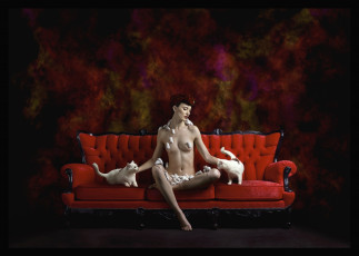 Картинка животные разные вместе девушка ню коты мыши