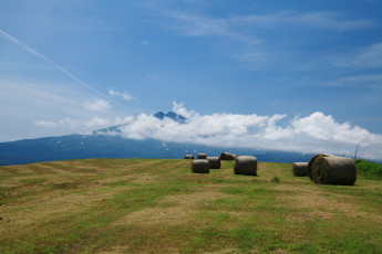 Картинка природа поля сено