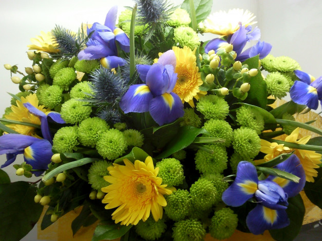 Обои картинки фото цветы, букеты, композиции, ирисы, букет, хризантемы