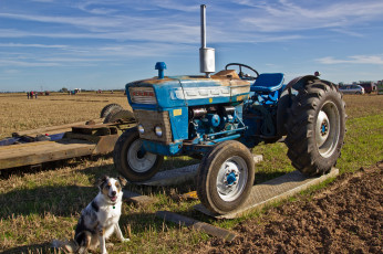 Картинка техника тракторы поле трактор