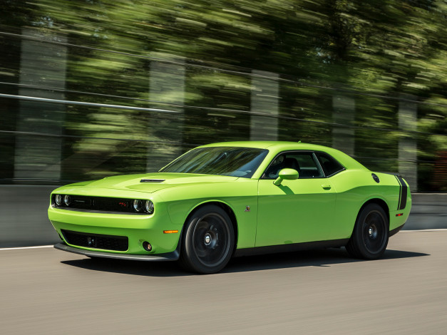 Обои картинки фото автомобили, dodge, scat, pack, зеленый, r-t, challenger, lc, 2015, г